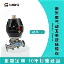 卫生级安全阀